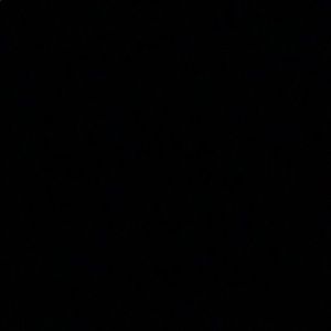 Meet your Posher, Winston